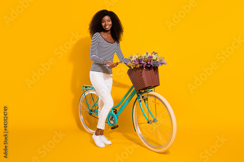 Fototapeta Naklejka Na Ścianę i Meble -  Full length body size photo of woman keeping bicycle with flower pot smiling isolated on bright yellow color background