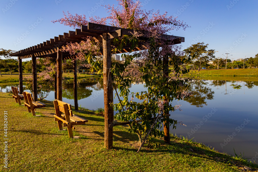 Detalhes do Parque Leolídio di Ramos Caiado na cidade de Goiânia. Detalhes do Parque Leolídio di Ramos Caiado na cidade de Goiânia.