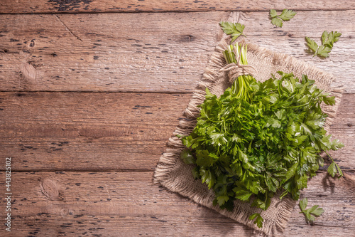Fresh parsley as a cooking concept on an old wooden table