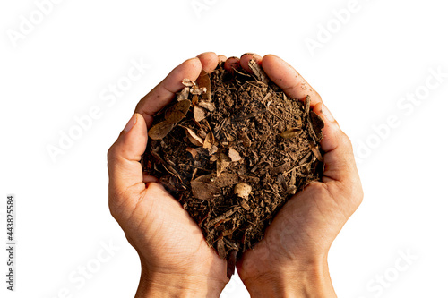 Loam soil in man's hand on a completely white background, agricultural use.