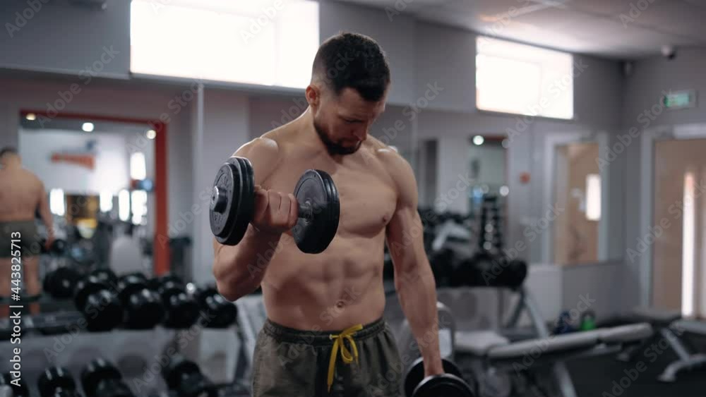 The attractive, sporty man performs biceps exercises by lifting dumbbells. Intense masculine energy. Healthy lifestyle. Sport concept The attractive, sporty man performs biceps exercises by lifting dumbbells. Intense masculine energy. Healthy lifestyle. Sport concept
