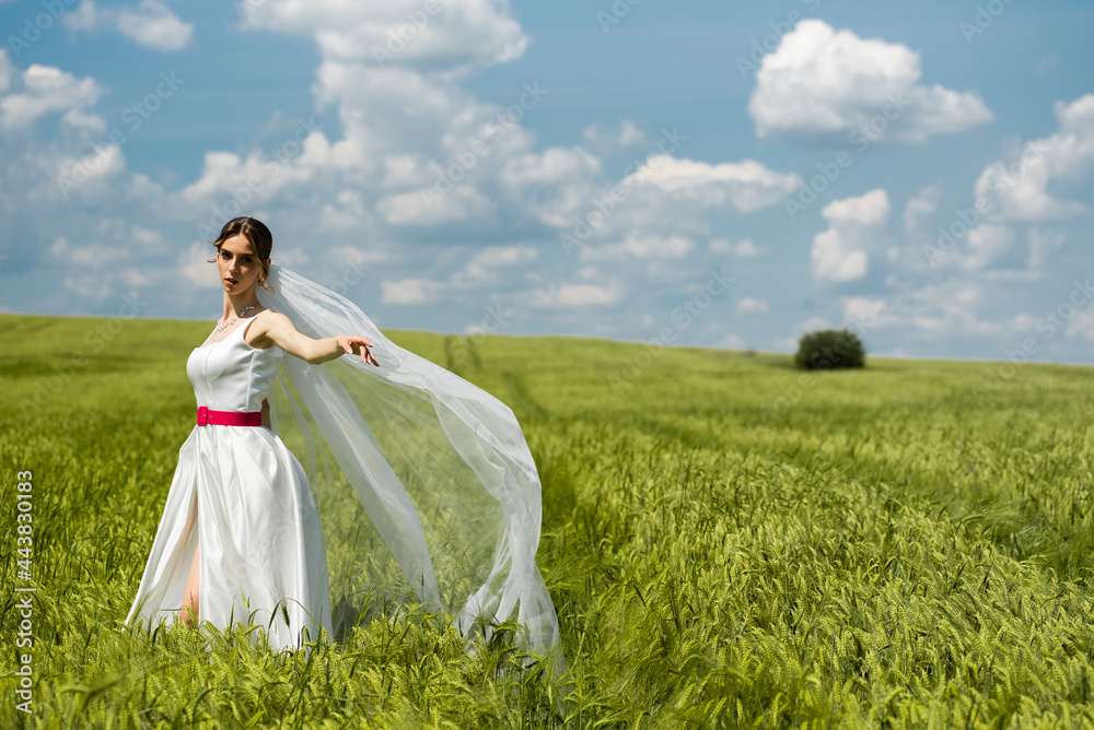 Beautiful young european bride posing on the green field. Beautiful young european bride posing on the green field.