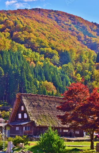 世界遺産　白川郷合掌造り集落　秋景