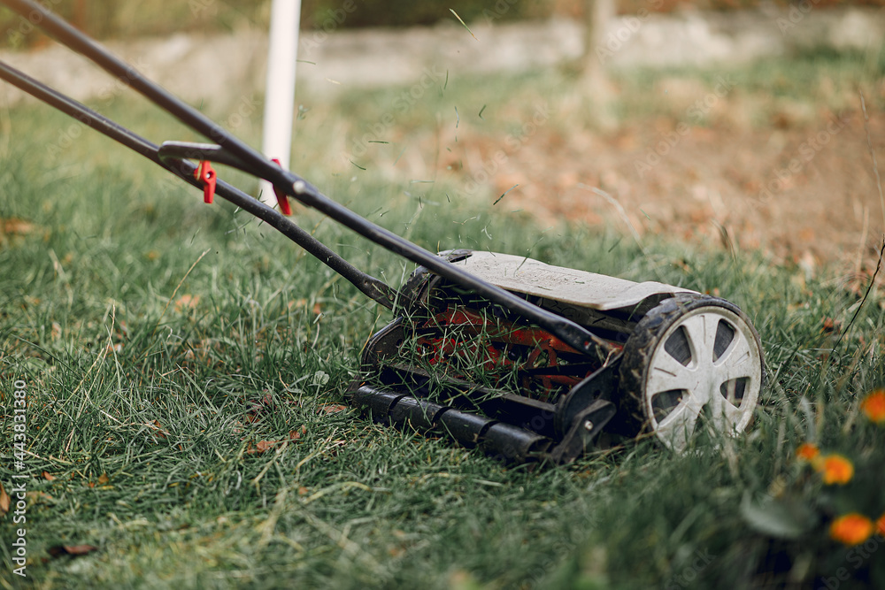 Senior mows the grass in the yard with a lawn mower