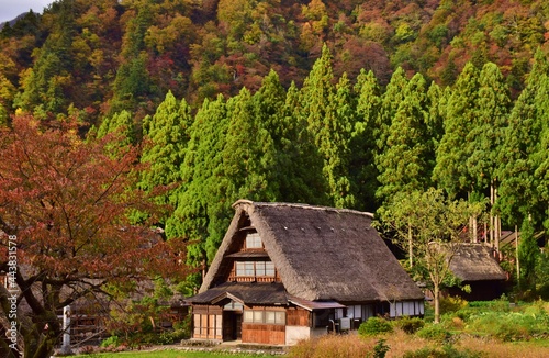 世界遺産 五箇山合掌造り集落 秋景