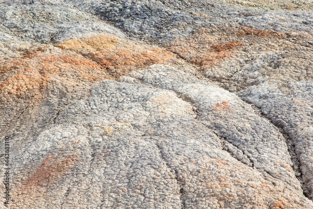 The landscape is red like on Mars The landscape is red like on Mars