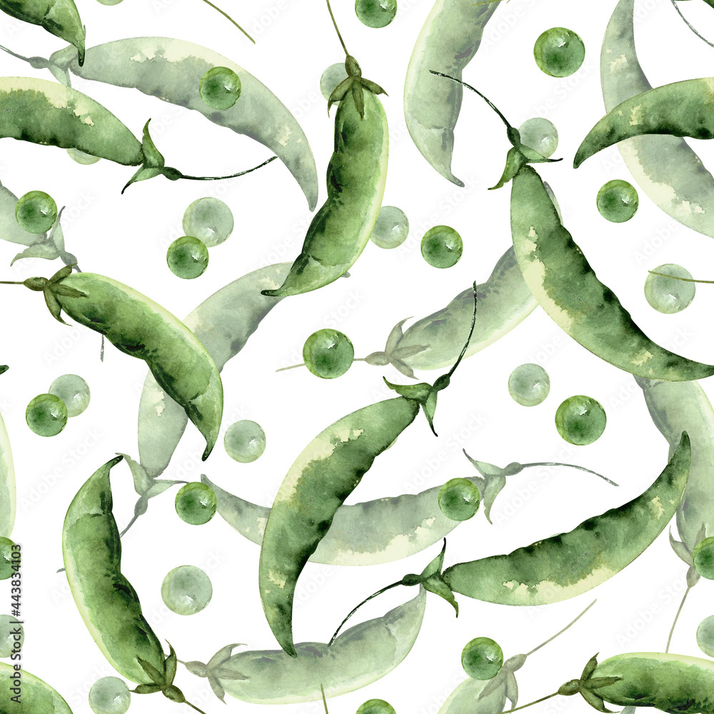 Obraz premium seamless pattern with green pea pods on white background, illustration watercolor hand painted..