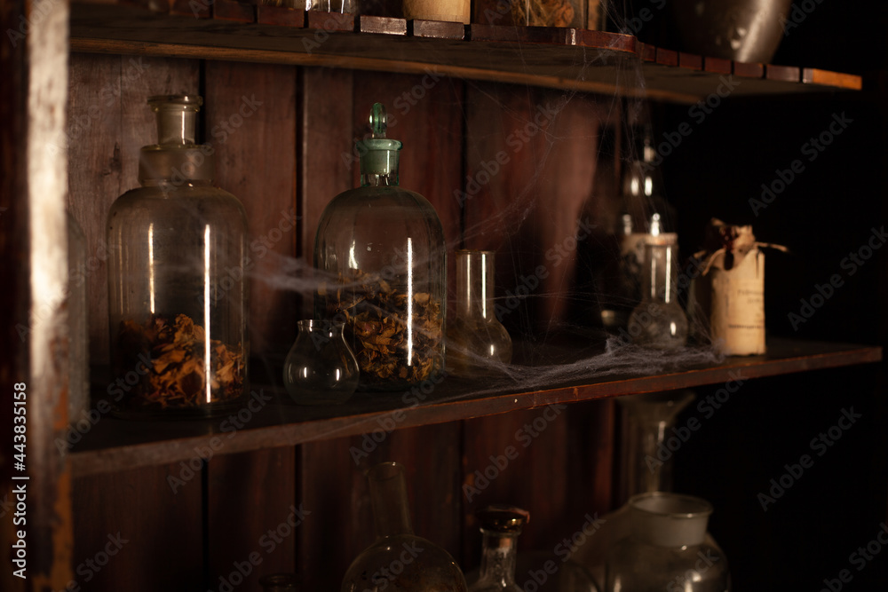 Halloween background Shelves with alchemy tools Skull spiderweb bottle with poison candles Halloween background Shelves with alchemy tools Skull spiderweb bottle with poison candles