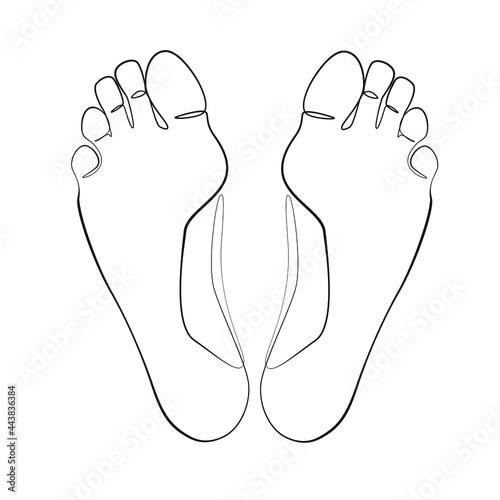 Feet one line drawing on white isolated background