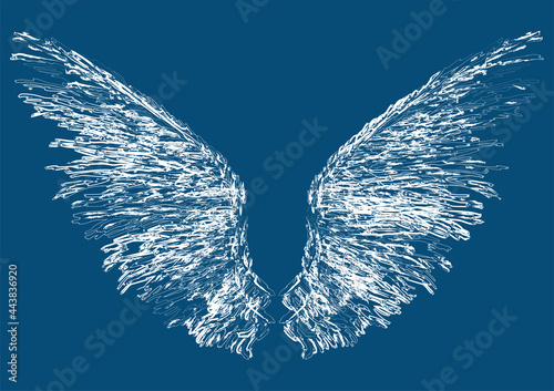 Vector drawing textured brush of fantasy white angel wings