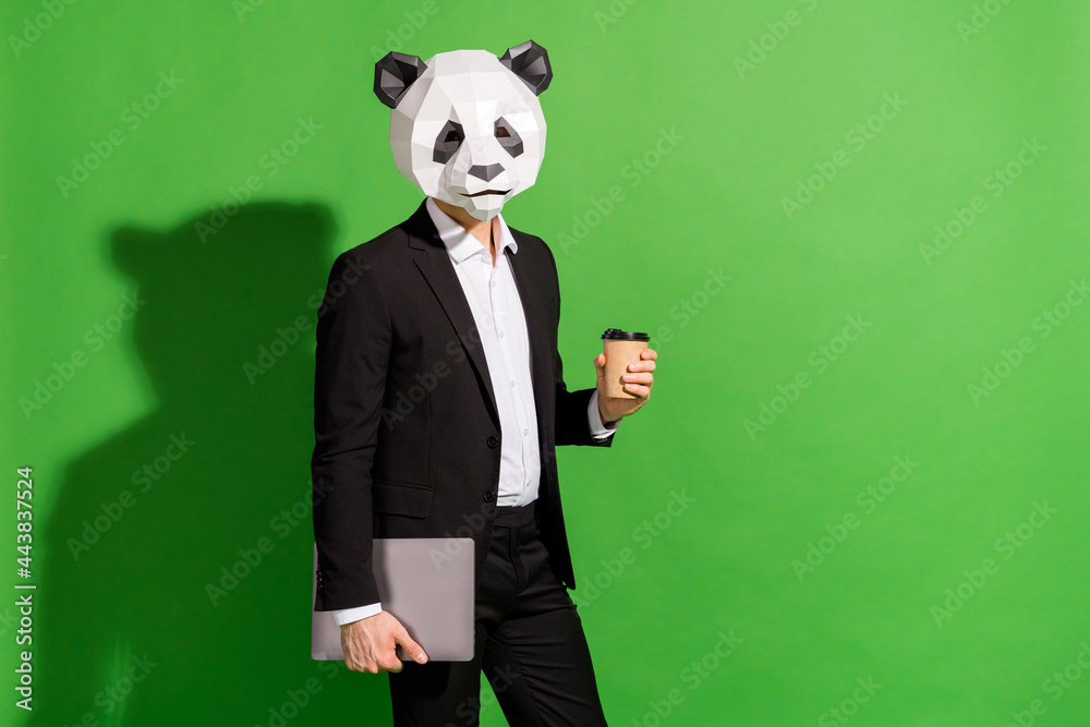 Photo of freelancer guy drink coffee carry laptop wear panda head black  suit isolated on green color background Stock Photo | Adobe Stock