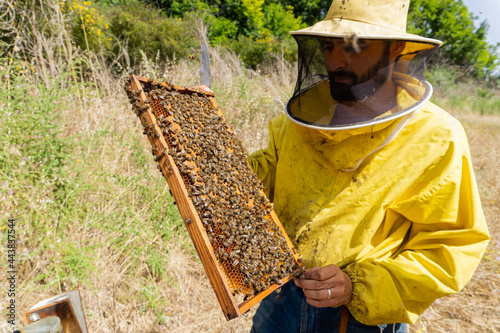 Beekeeper with a beehive in the hands