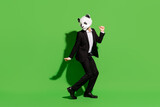 Photo of crazy positive man enjoy dance wear panda mask black tux footwear isolated on green color background