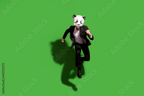 Full length body size view of classy active man wearing panda mask jumping running isolated over bright green color background