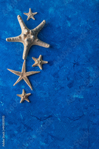 starfish on a blue background. space for the text.