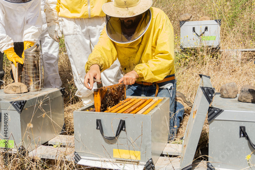 Konstfotografi Group of beekeepers looking at the production of the apiary.