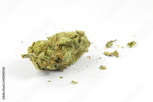 CBD
