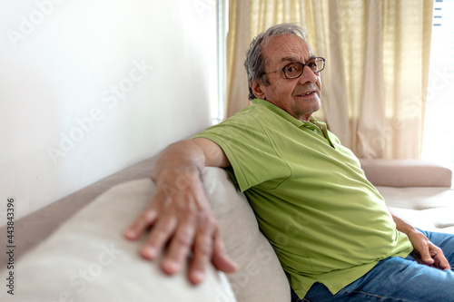 Happy retirement old man smiling while sitting on sofa at home. Portrait of happy old man sitting on sofa and contemplating, looking at camera. Cheerful senior man leaning on sofa in the living room. © Jelena Stanojkovic