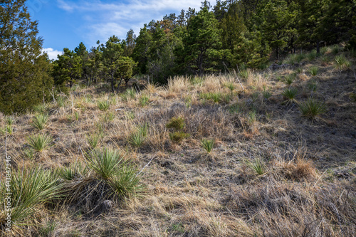 Wyoming landscape in Spring. Interstate 80 highway at Windows on the Past Archaeology Site.