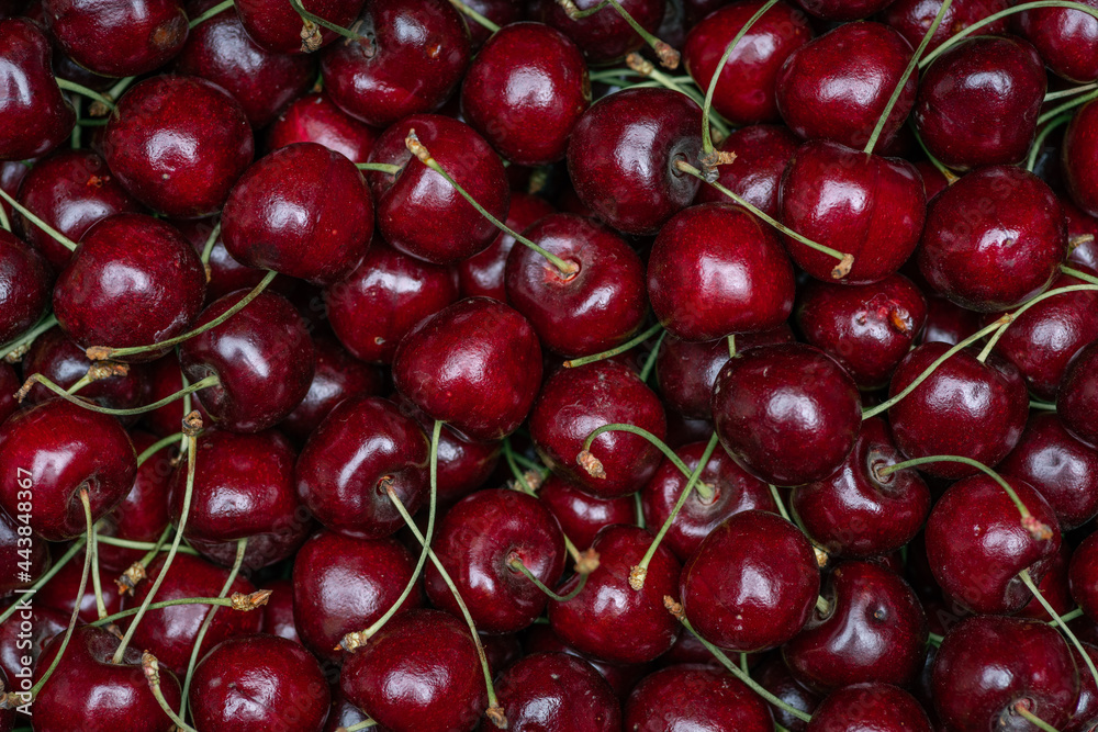 Ripe red cherry berries are very close to each other. The reflection of light plays on each berry with a bright glare Ripe red cherry berries are very close to each other. The reflection of light plays on each berry with a bright glare