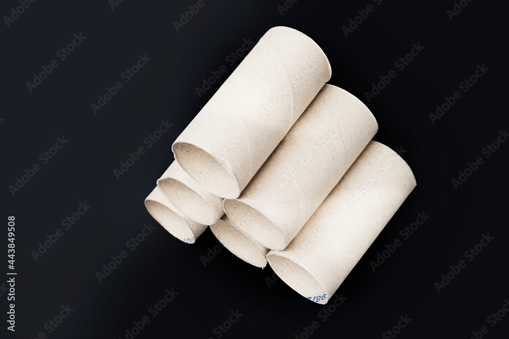 Fototapeta premium Toilet paper rolls without paper on dark background with copy space - Clipping path