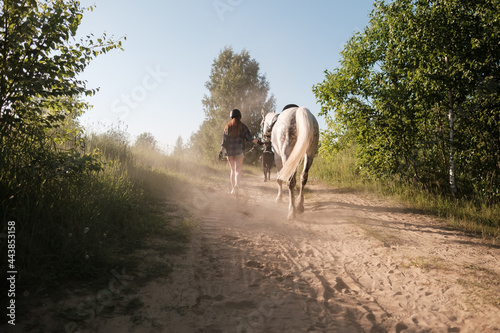 Woman in a helmet walks with her horse along a dusty sandy road, holding her by the bridle, at sunset, against the background of the sky.