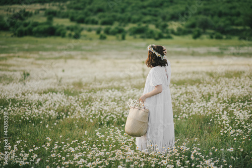 Young woman wearing white dress holding straw basket with flowers on chamomile field. photo