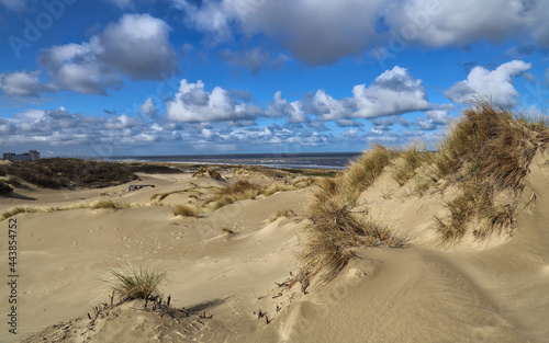 Fototapeta Naklejka Na Ścianę i Meble -  Dunes and sea in Holland