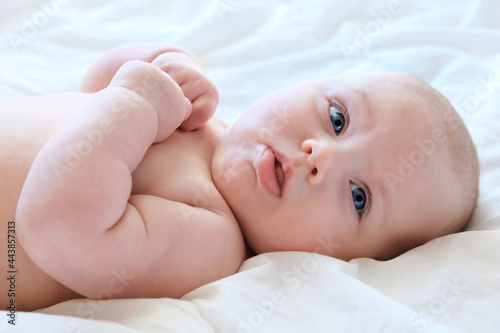 Close-up Portrait of a beautiful Baby on white. Head and Face. Newborn Baby lying on its side and looks into the Camera. Motherhood, health, pediatrics concept. Cute and adorable Infant