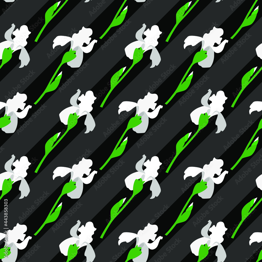 White flowers irises with leaves and buds on a black background. Seamless pattern. Vector illustration