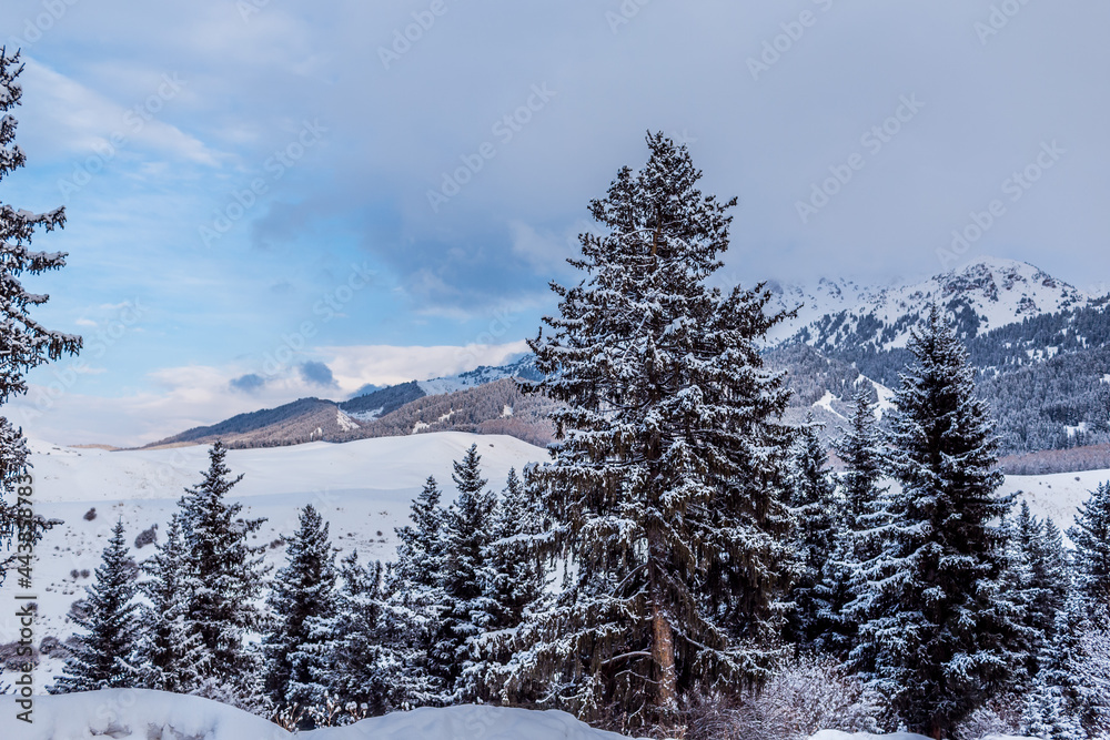 Winter landscape with snow covered mountains and trees Winter landscape with snow covered mountains and trees