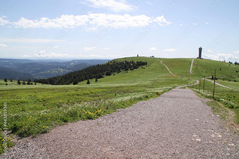 Wanderwege auf dem Feldberg