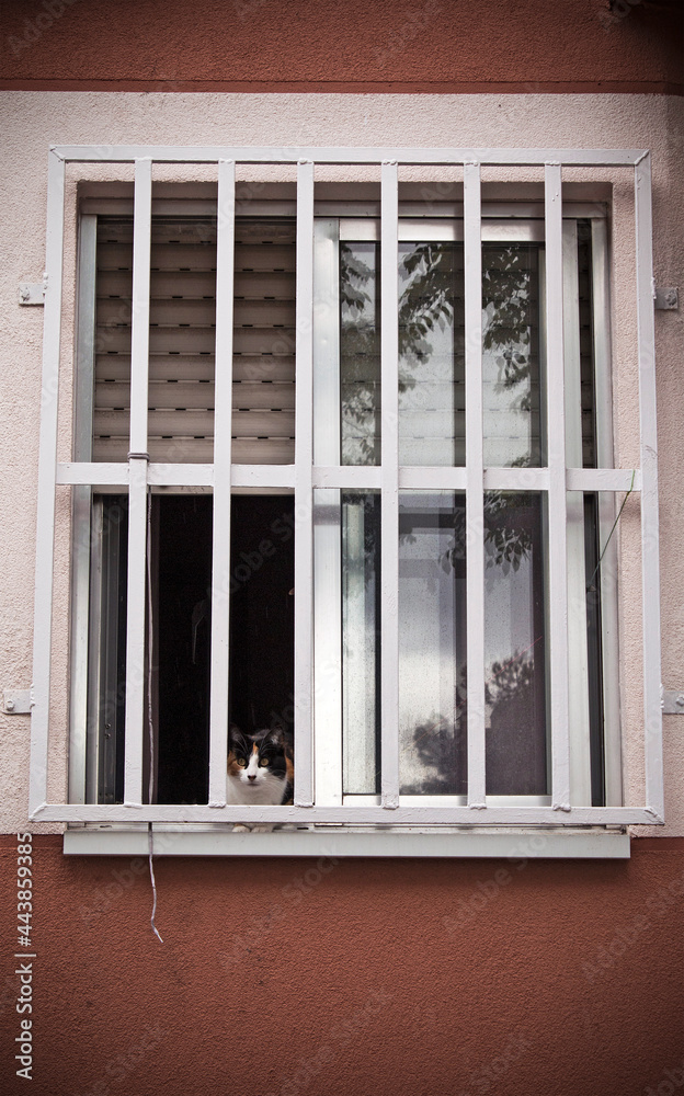 Fototapeta premium An urban photo, window on the façade of building