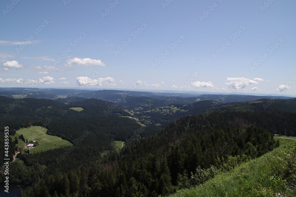 Blick vom Feldberg im Schwarzwald