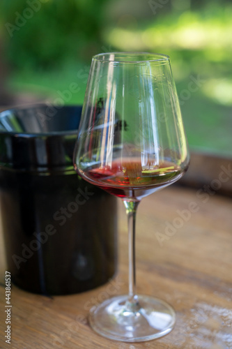 Tasting of dry burgundy red wine made from pinot noir grapes, wine tourisme to Burgundy Cote de Nuits wine region, France