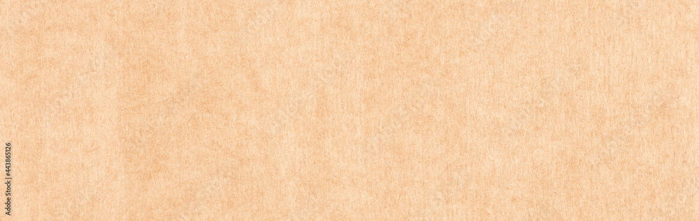 Fototapeta premium brown nature paper texture carton, banner background, package banner, horizontal backdrop for display