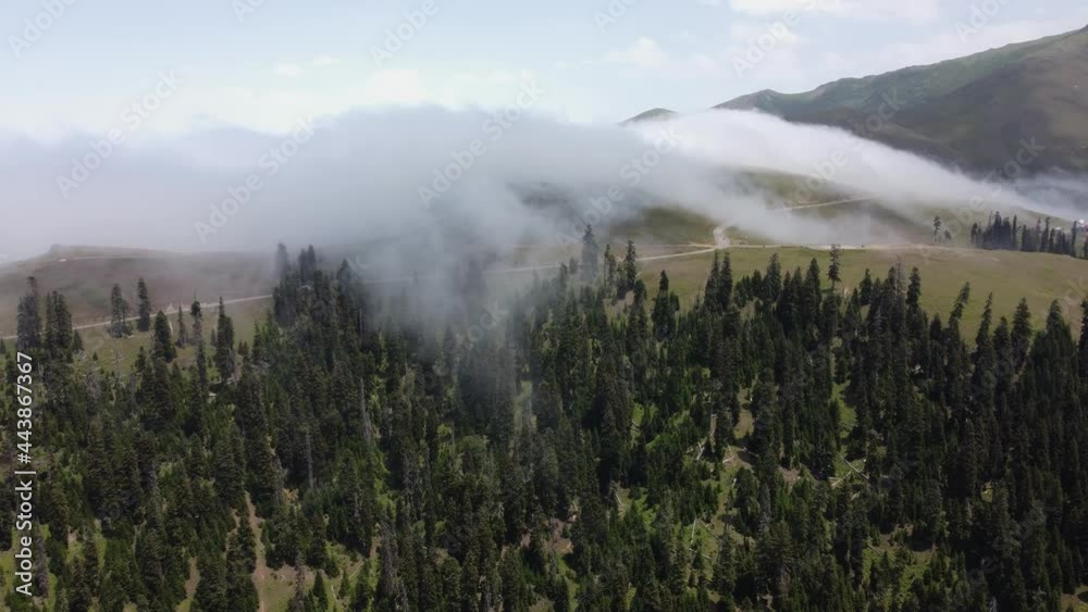 Car is going in the misty mountain Car is going in the misty mountain