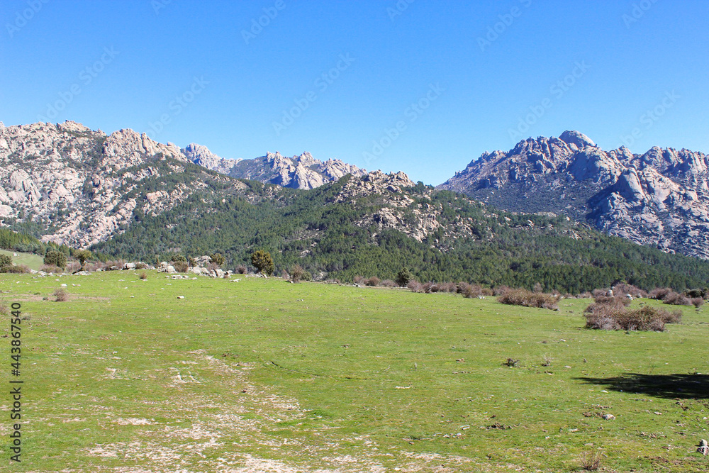 pure nature, trees and mountains. meadow and rock. a blue sky without clouds.