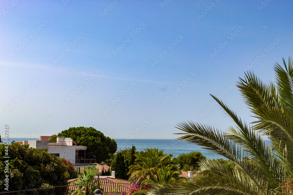 In the photograph you can see trees and palm trees, a white house and the sea under a clear sky without clouds