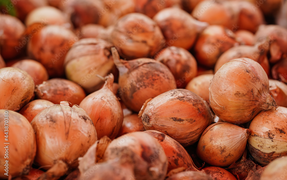 Heap of orange onions displayed at street food market, closeup detail Heap of orange onions displayed at street food market, closeup detail
