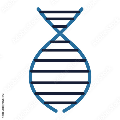 dna molecule model
