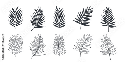 Fototapeta Naklejka Na Ścianę i Meble -  Tropical leaves. Palm leaves. Set of leaves icons linear and flat style. Vector illustration