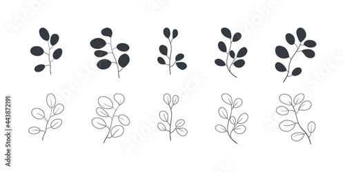 Leaves sign. Eucalyptus leaves. Set of leaves icons linear and flat style. Vector illustration