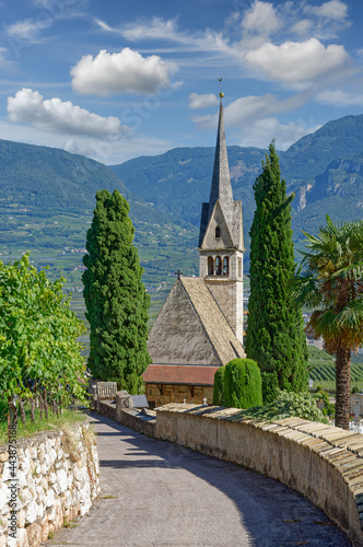 im bekannten Weinort Tramin an der Südtiroler Weinstrasse,Südtirol,Italien photo