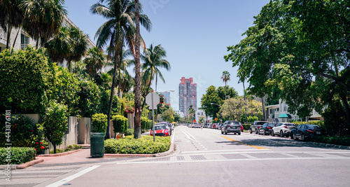 street in the city Miami Beach florida sky palms 