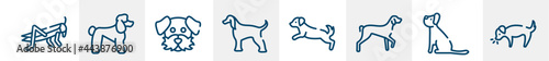 dog and training line icons such as locust, poodle, dog moustache, afghan hound, dog scaping, smelling outline vector sign. symbol, logo illustration. linear style icons set. pixel perfect vector