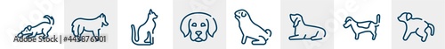 dog and training line icons such as dogs playing, shetland sheepdog, egyptian cat, dog puppy, pug, scold the dog outline vector sign. symbol, logo illustration. linear style icons set. pixel perfect