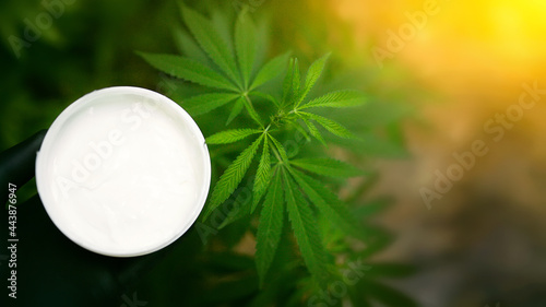 Dispensing hemp cream and organic and ecological plant-based pharmaceutical CBD oil from a jar