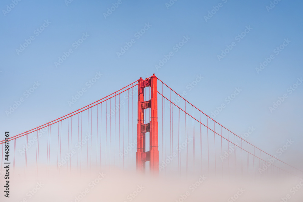 Obraz premium Golden Gate Bridge in the fog, photo taken from the embankment, San Francisco