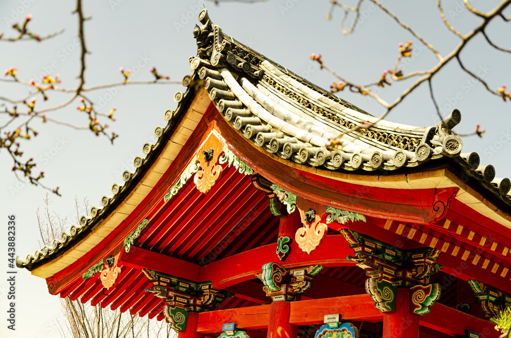 Fototapeta premium Japan Temple